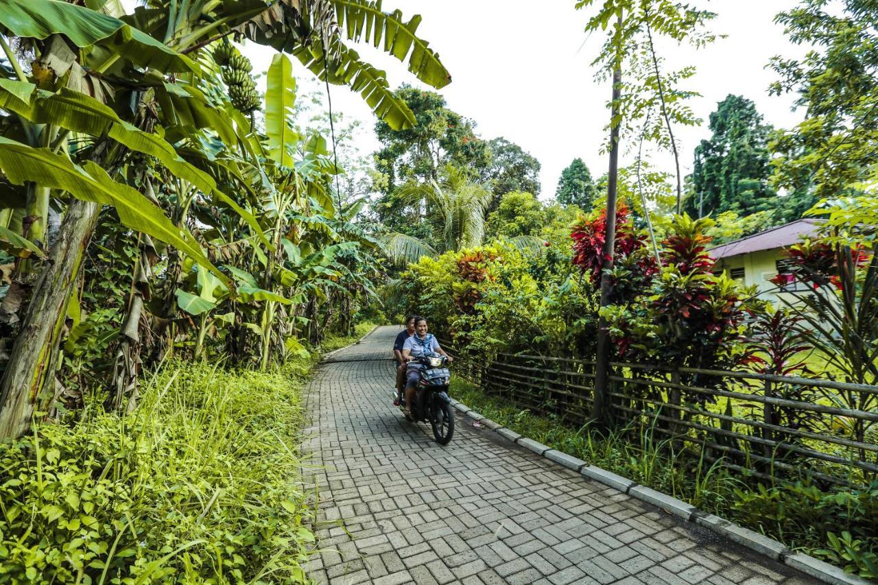 The Village Bunaken Kültér fotó